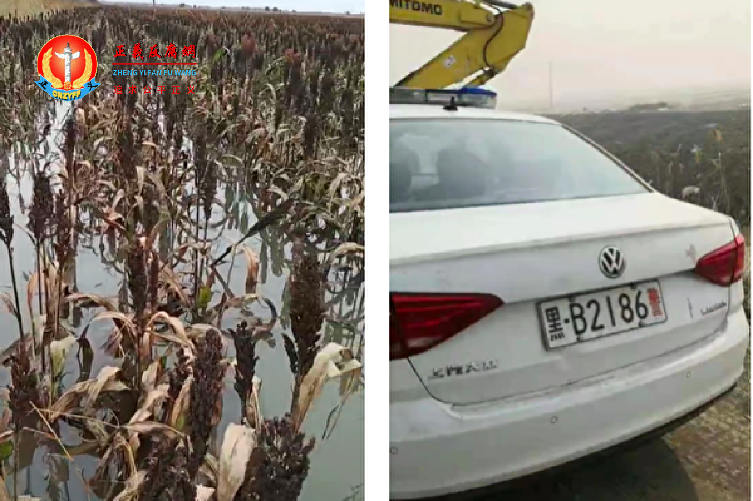 左图，黑龙江省富裕县被淹后的农作物；右图，2020年7月2日，当地政府勾结公安阻止农民抗洪自救庄稼。.png