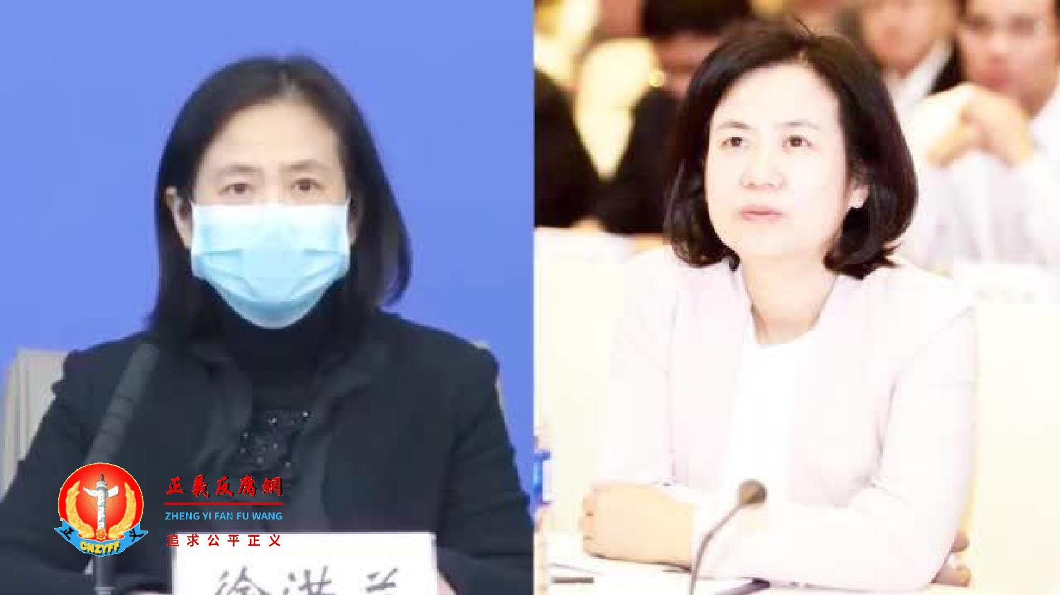 汉市政府原党组成员、女副市长徐洪兰.png