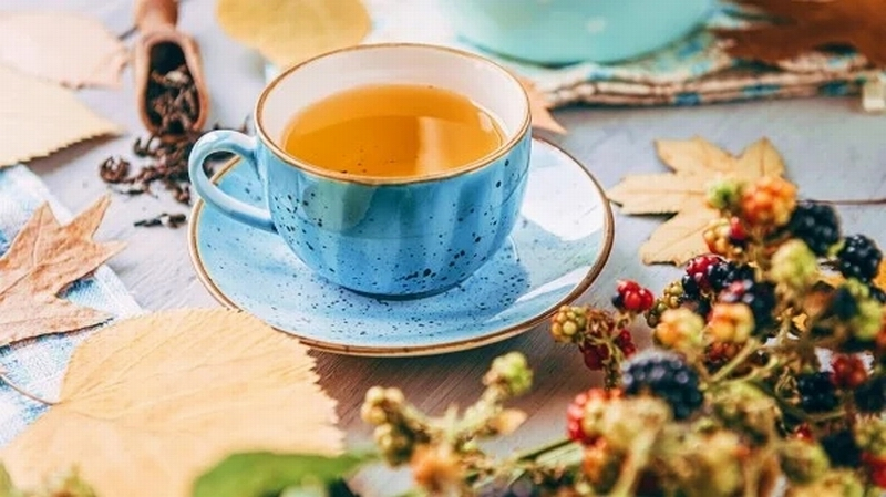 茶叶和癌症的关系 超乎你的想像